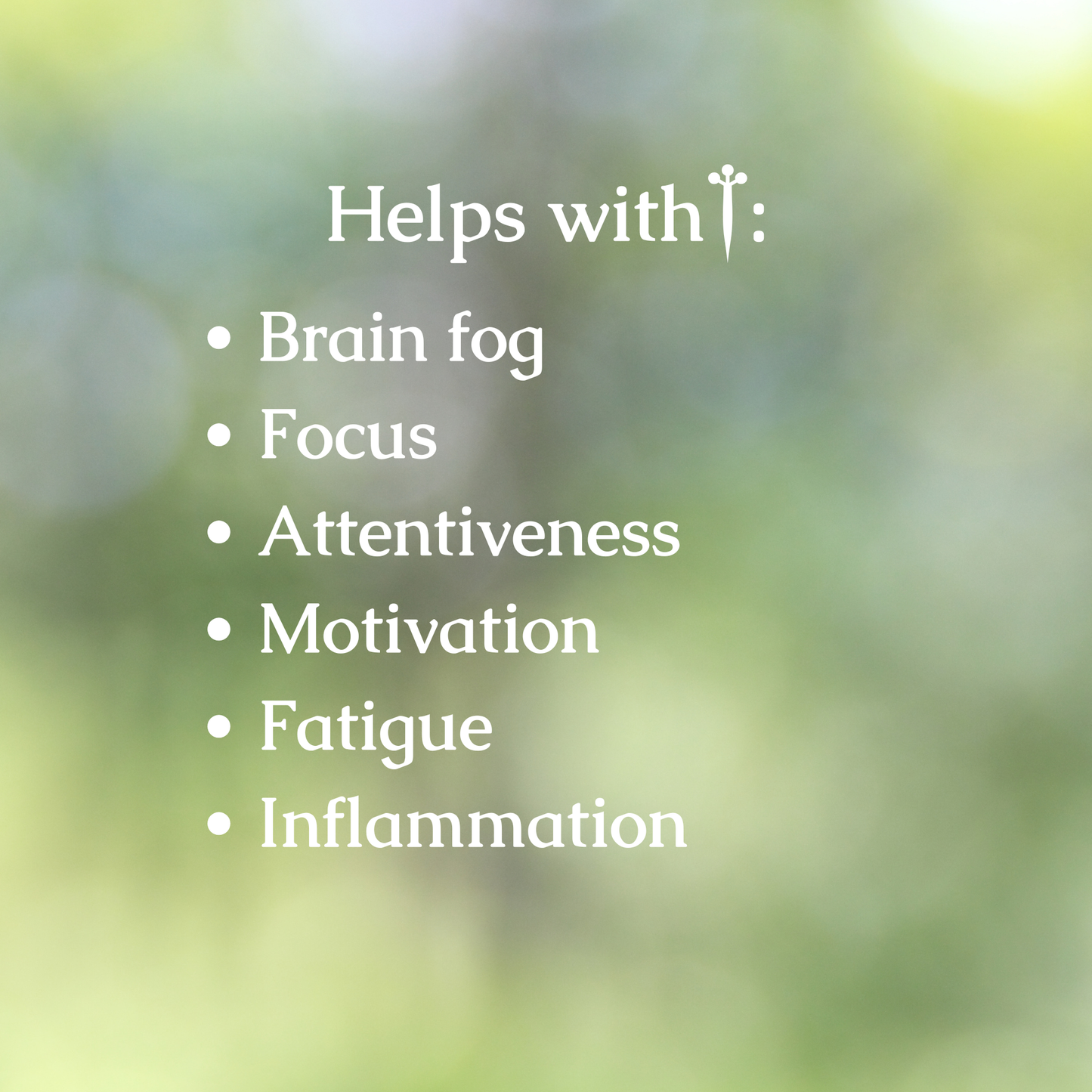 Organic Brain Fog Herbal Tincture