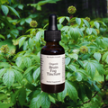 Organic Brain Fog Herbal Tincture