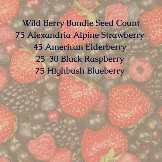 Wild Berry Seed Bundle