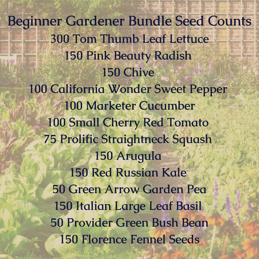 Beginner Gardening Seed Bundle