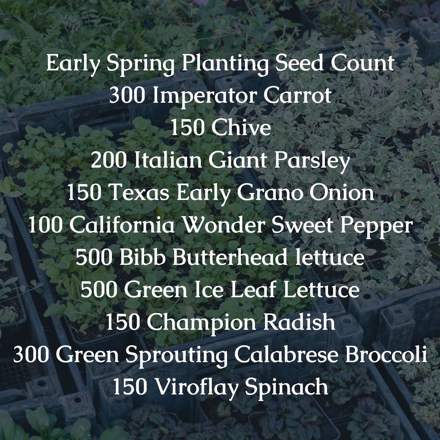 Early Spring Planting Seed Bundle