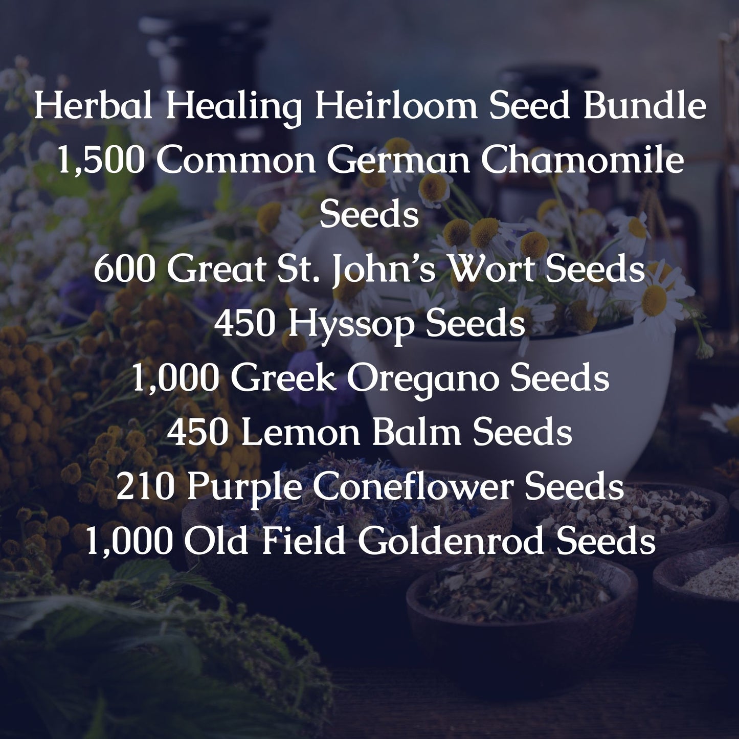 Heirloom Healing Herb Seed Bundle