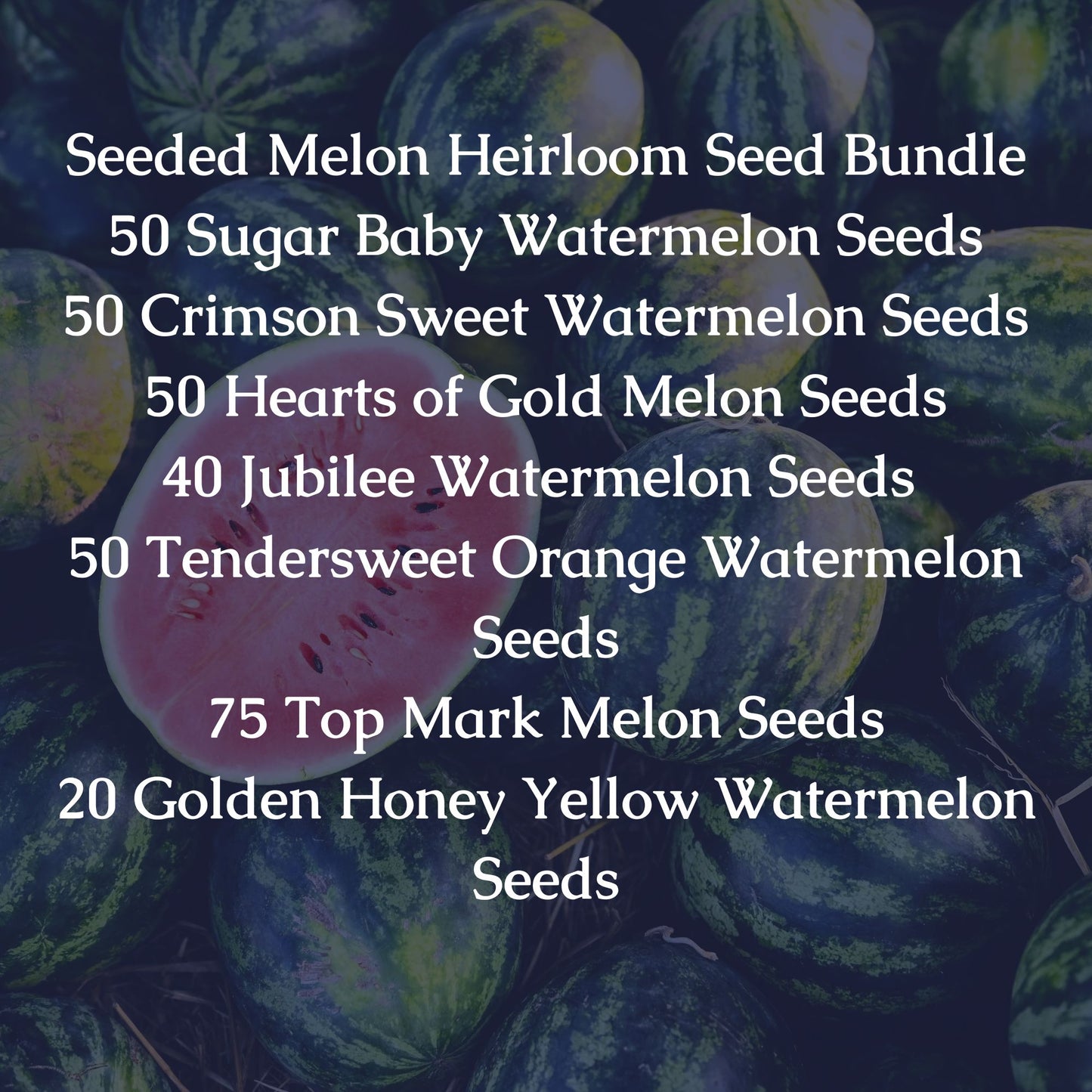 Seeded Melon Heirloom Seed Bundle