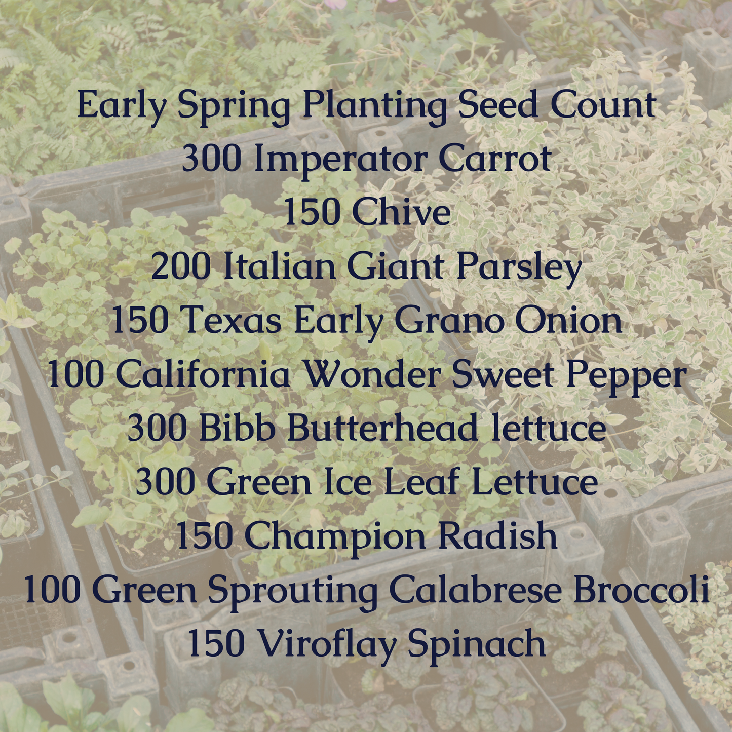Early Spring Planting Seed Bundle