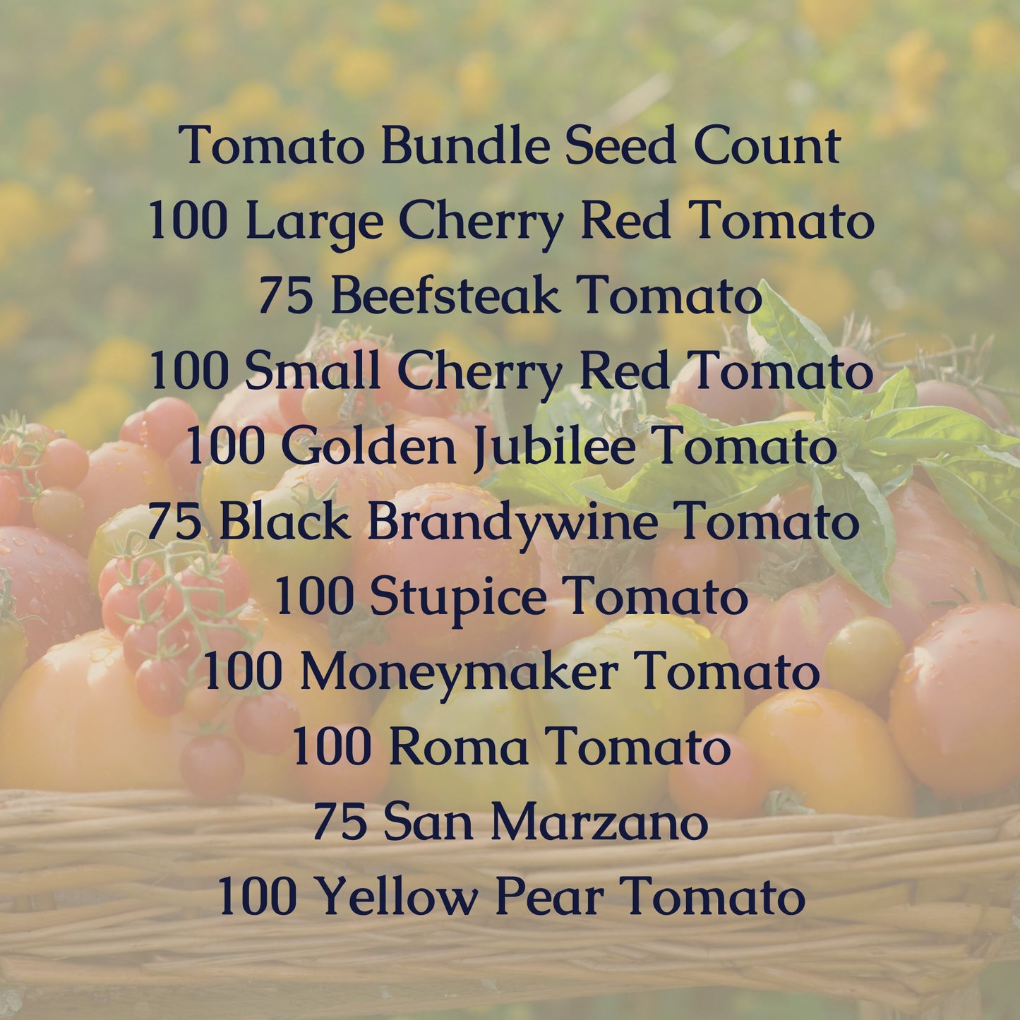 Tomato Seed Bundle