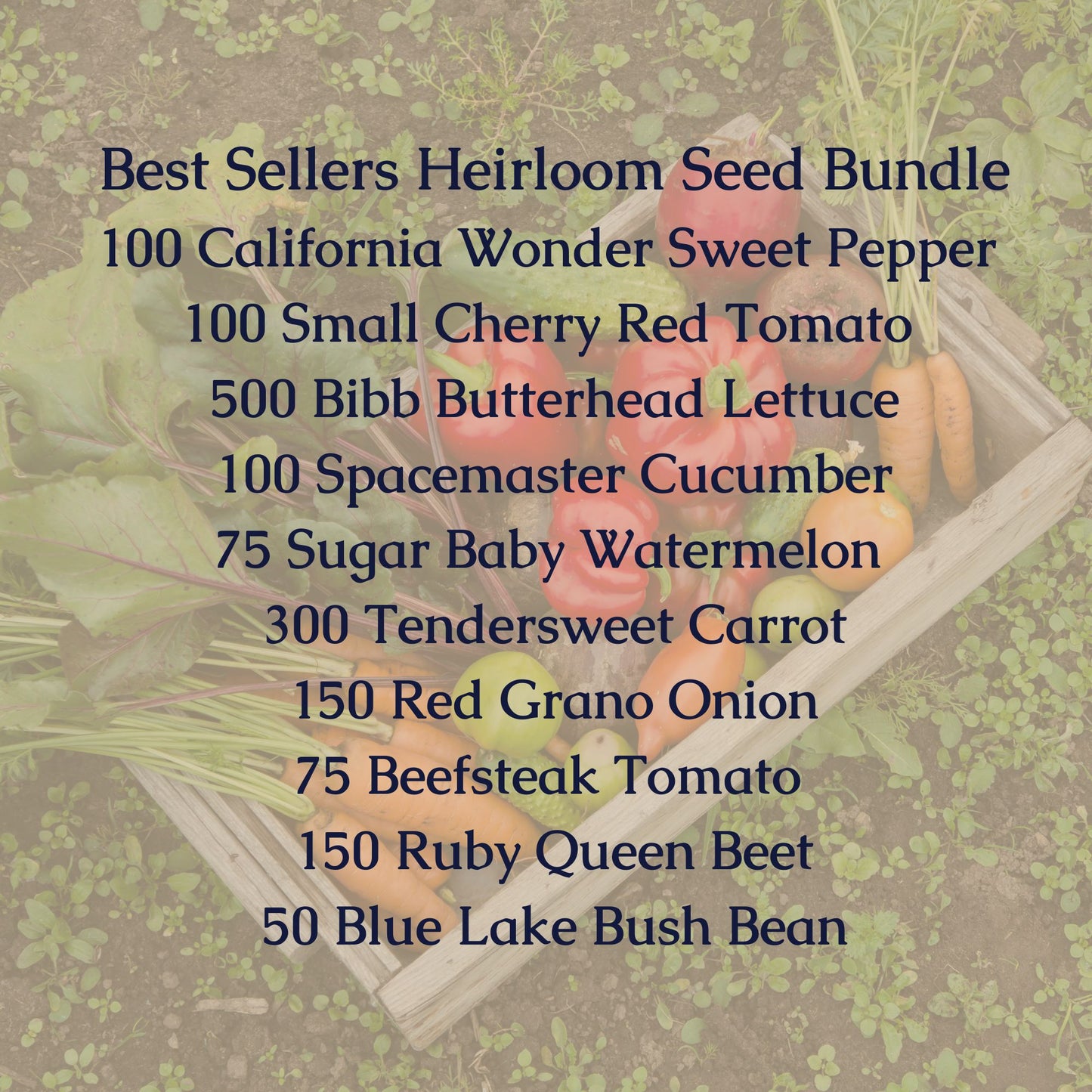 Best Sellers Heirloom Seed Small Bundle