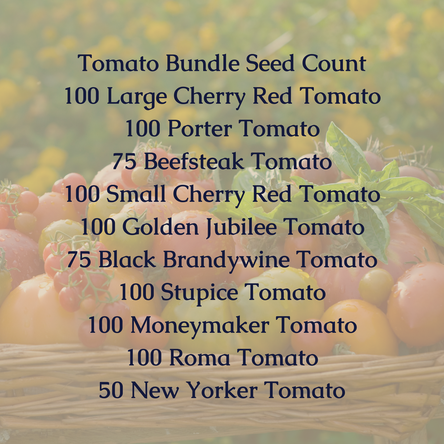 Tomato Seed Bundle