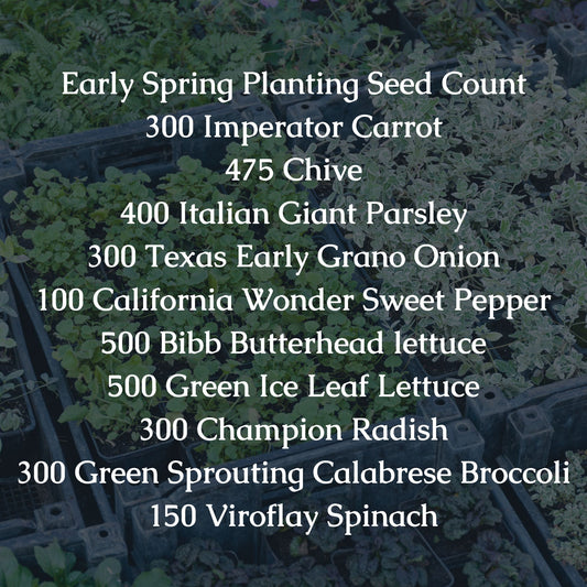 Early Spring Planting Seed Bundle