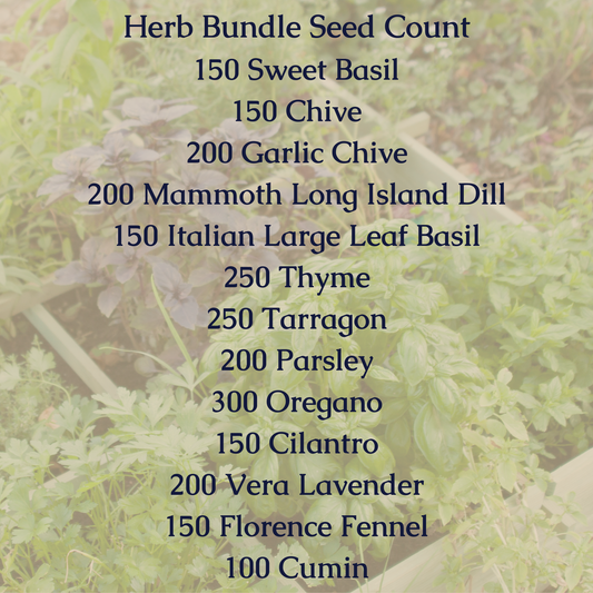 Herb Seed Bundle