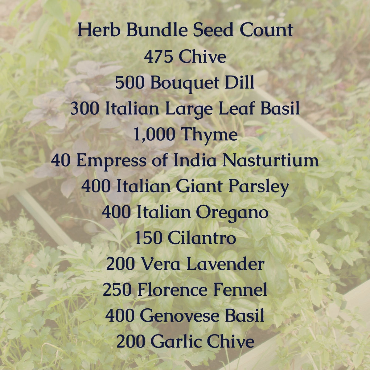 Herb Seed Bundle