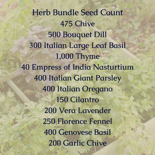 Herb Seed Bundle