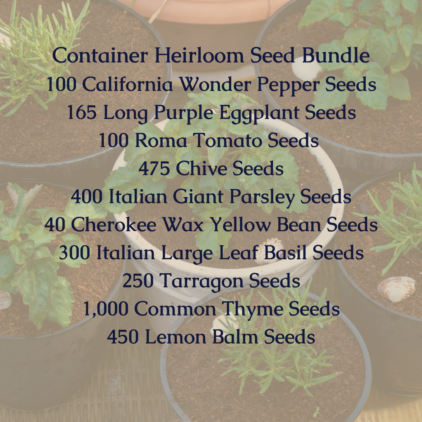 Container Heirloom Seed Bundle