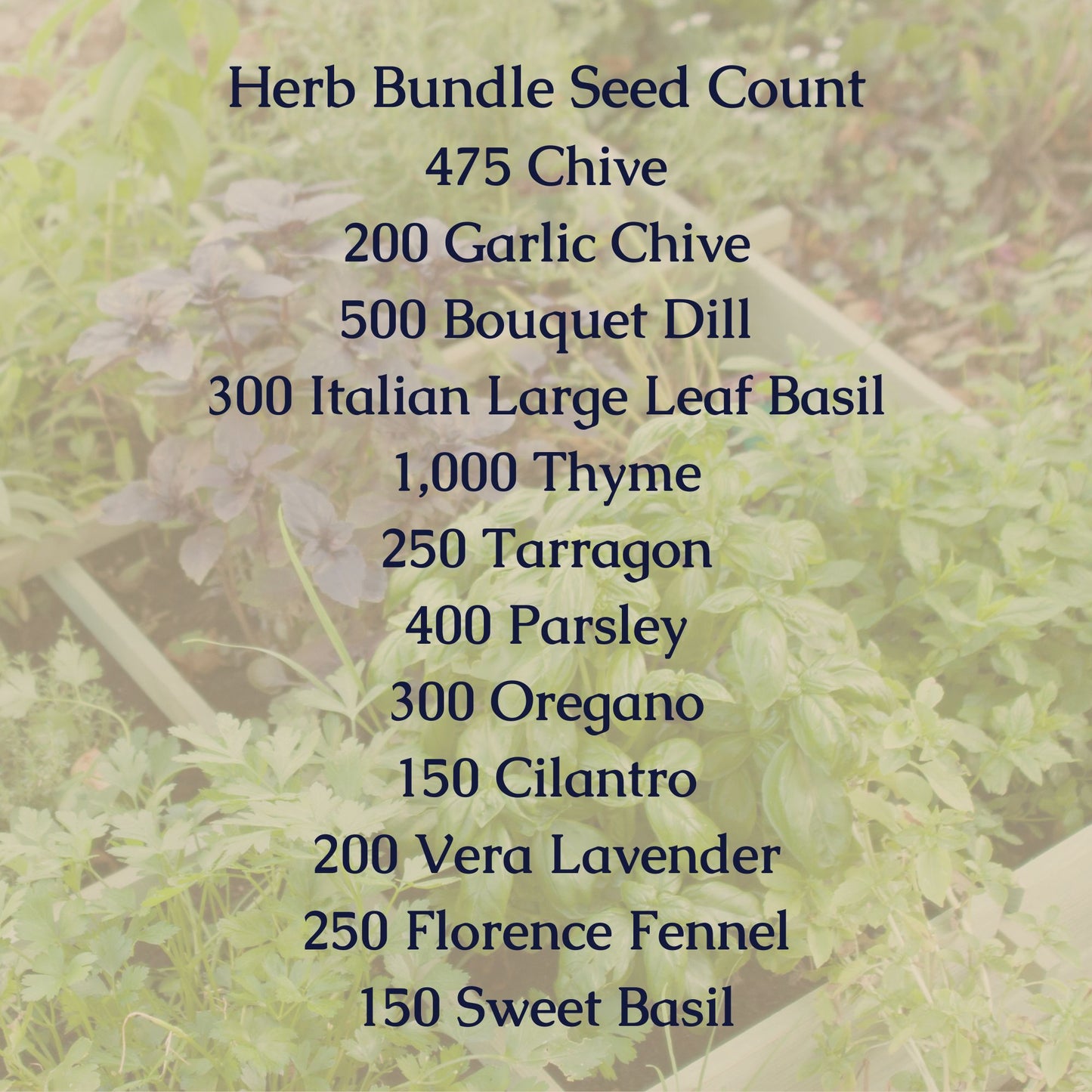 Herb Seed Bundle