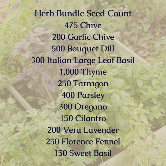 Herb Seed Bundle