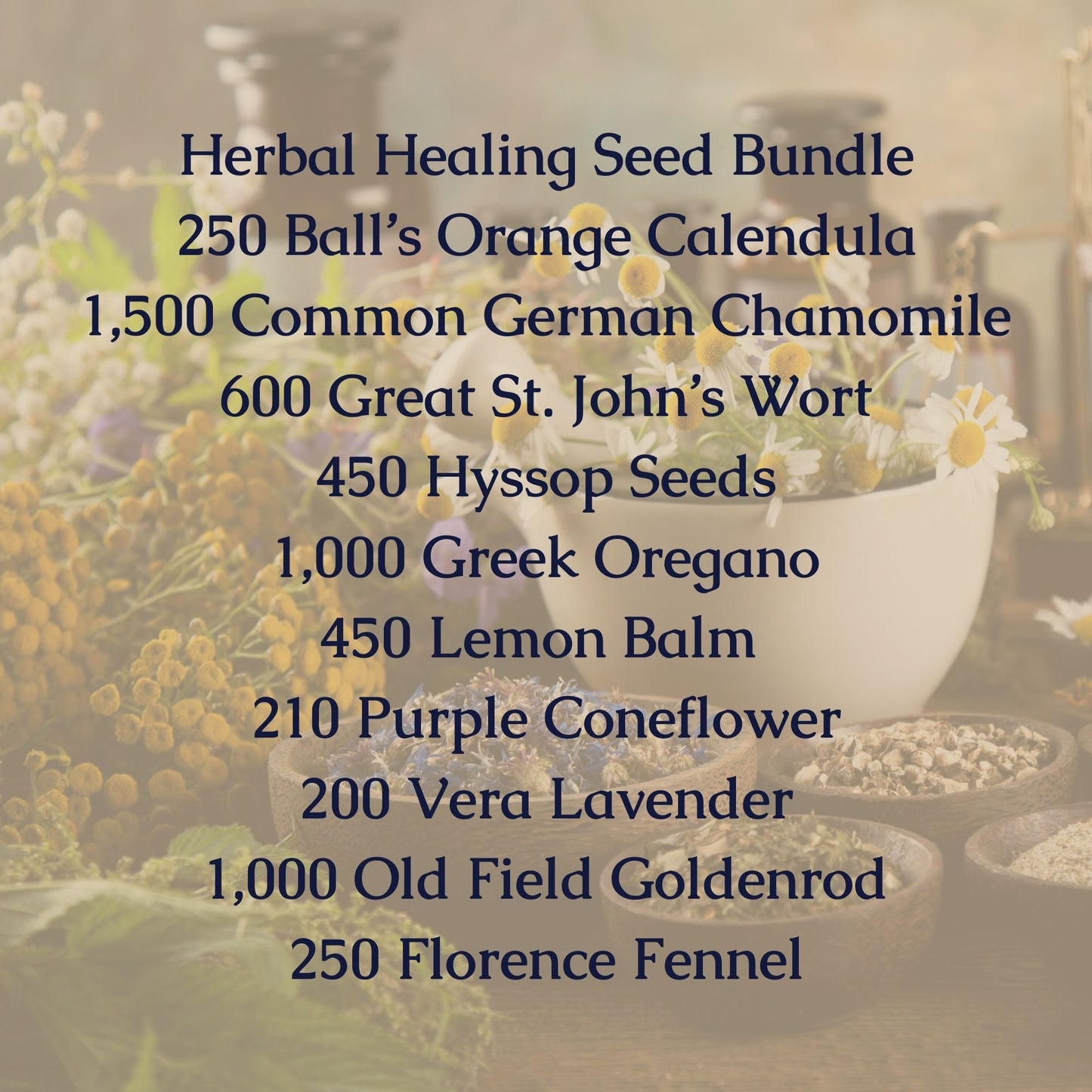 Herbal Healing Seed Bundle
