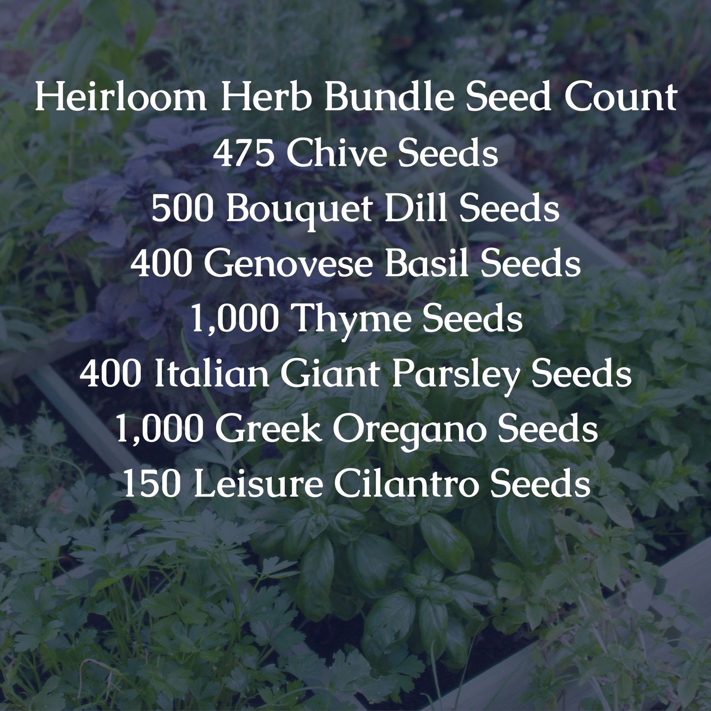Heirloom Herb Seed Bundle