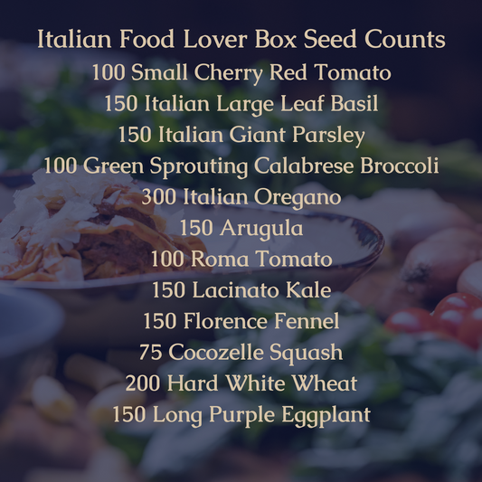 Italian Food Lover