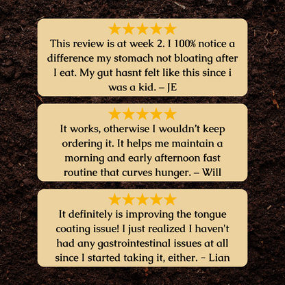 Organic Candida Cleanse Tincture