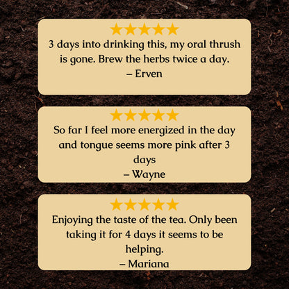 Candida Cleanse Organic Herbal Tea