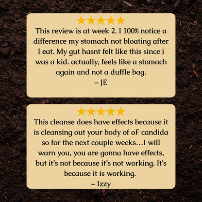 Organic Candida Cleanse Tincture