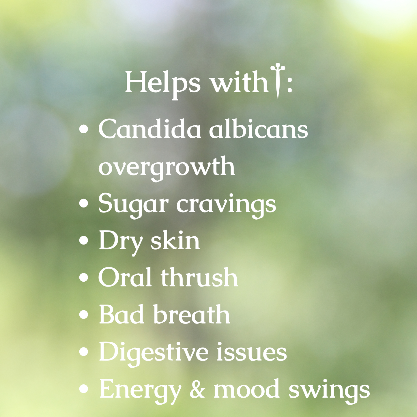 Organic Candida Cleanse Tincture