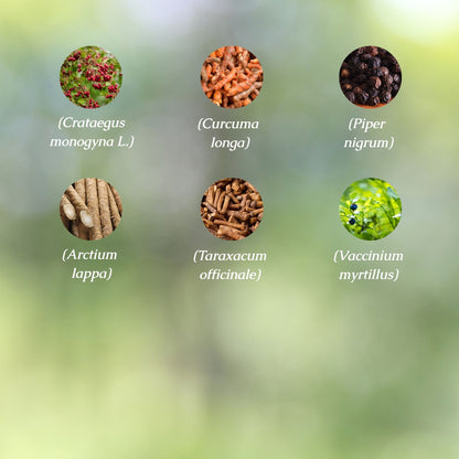 Organic Cellular Support Tincture