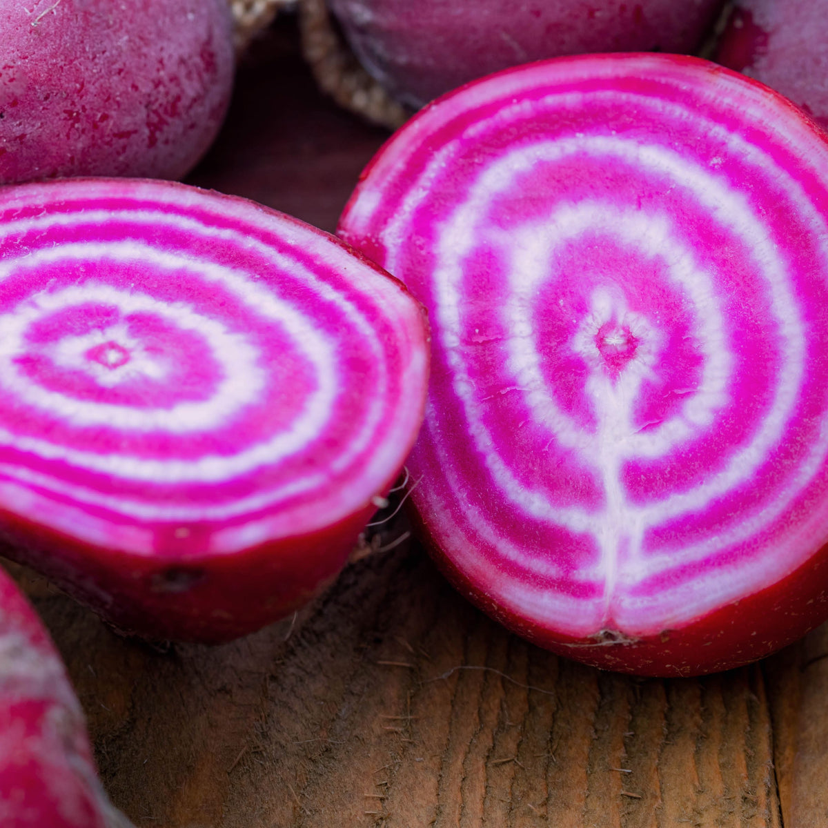 Chioggia Beet Seeds