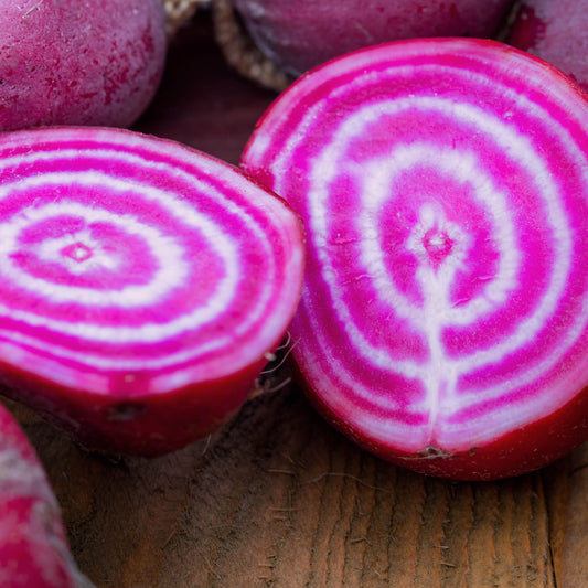 Chioggia Beet Seeds