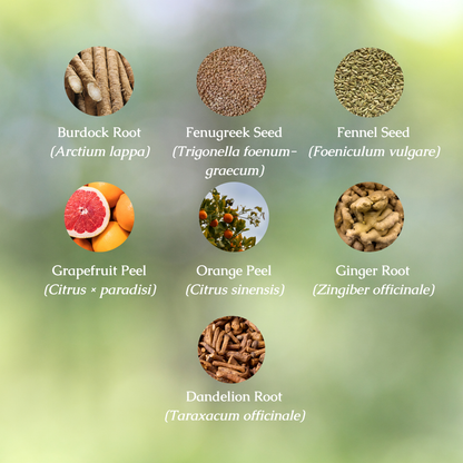 Organic Debloat Digestive Bitters Tincture