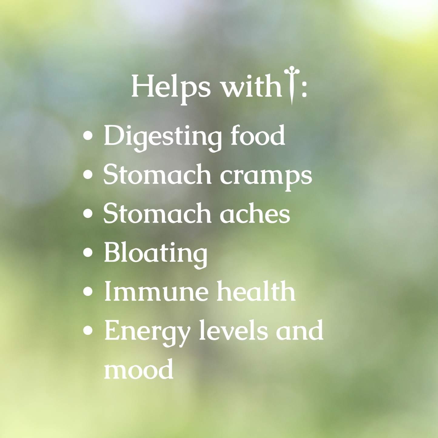 Organic Digestive Support Herbal Tincture