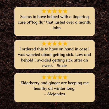 Organic Elderberry Tincture