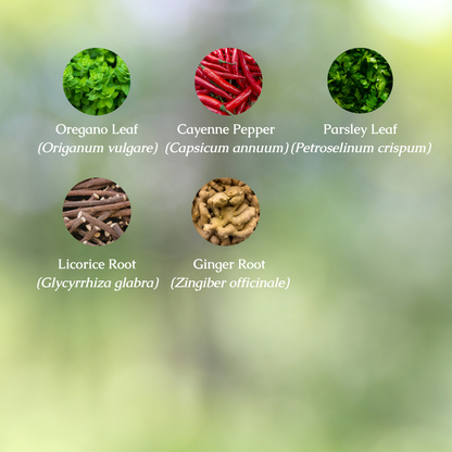 Organic Helicobacter Pylori Tincture
