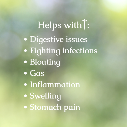 Organic Helicobacter Pylori Tincture