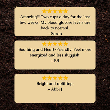 Heart Health Organic Herbal Tea