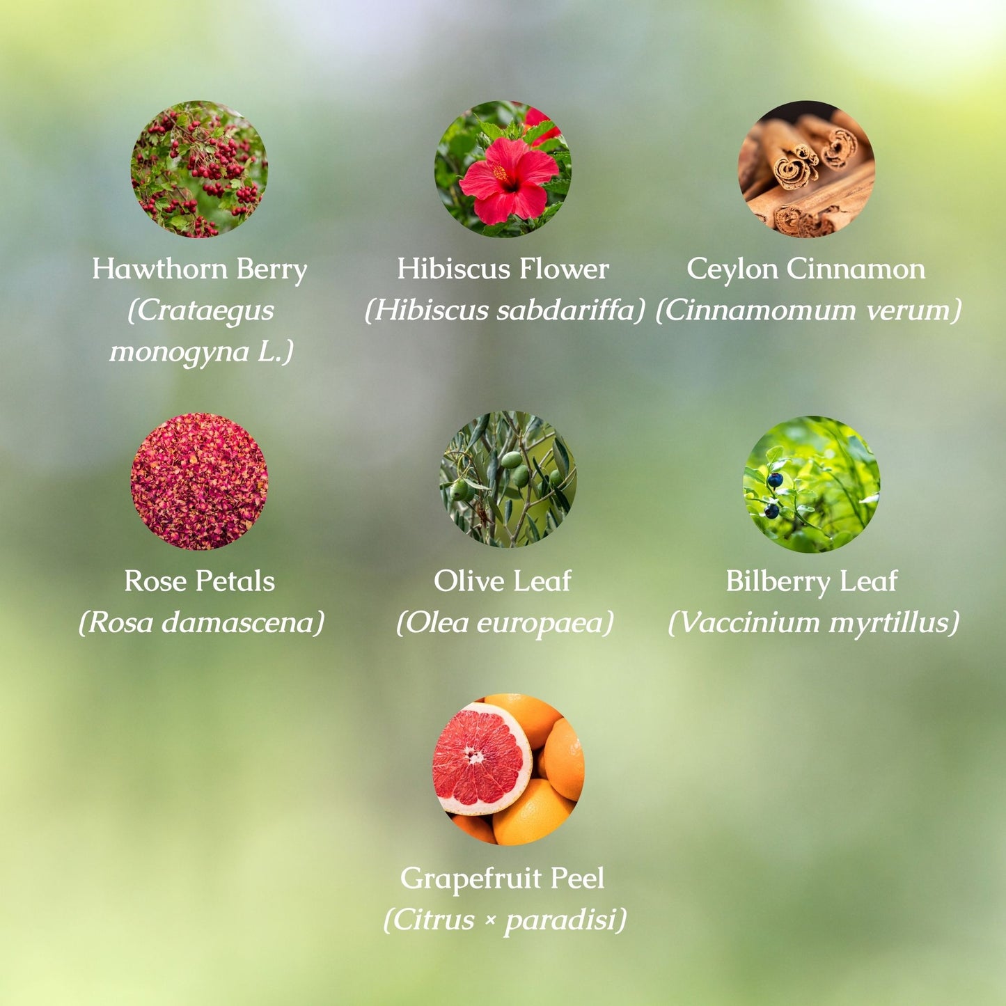 Heart Health Organic Herbal Tea