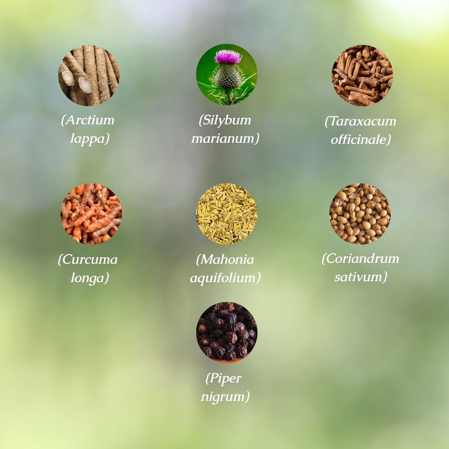 Organic Heavy Metal Detox Tincture