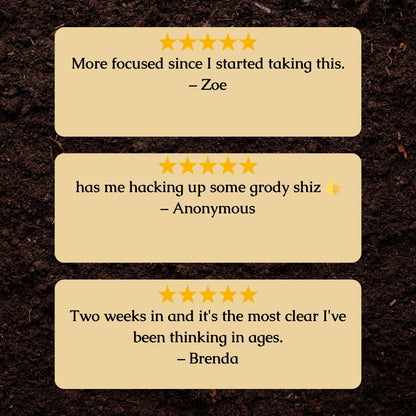 Organic Heavy Metal Detox Tincture