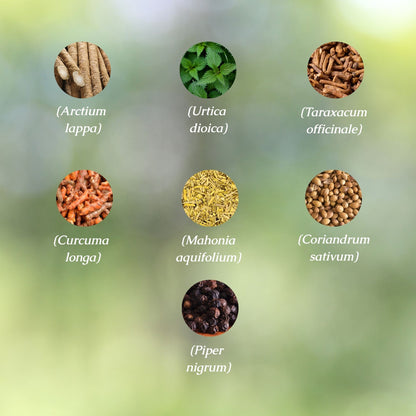 Heavy Metal Detox Organic Herbal Tea