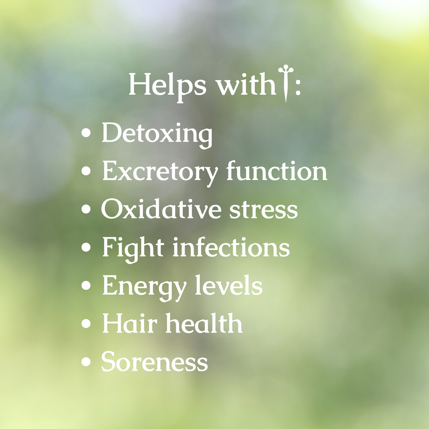 Heavy Metal Detox Organic Herbal Tea