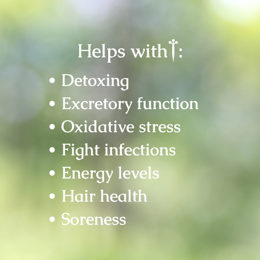 Heavy Metal Detox Organic Herbal Tea