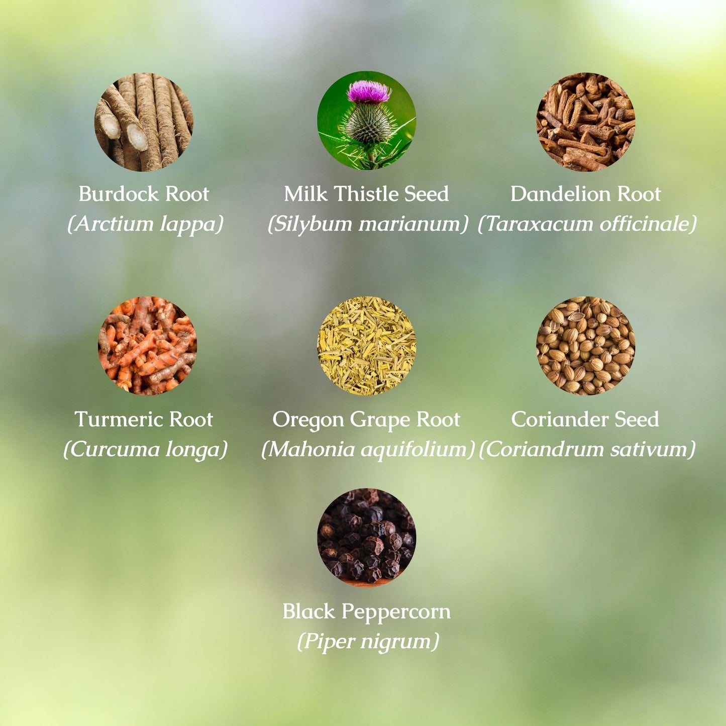 Organic Heavy Metal Detox Tincture