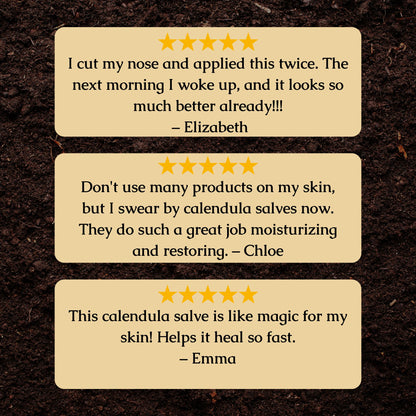 Organic Calendula Salve