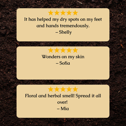 Organic Herbal Healing Salve