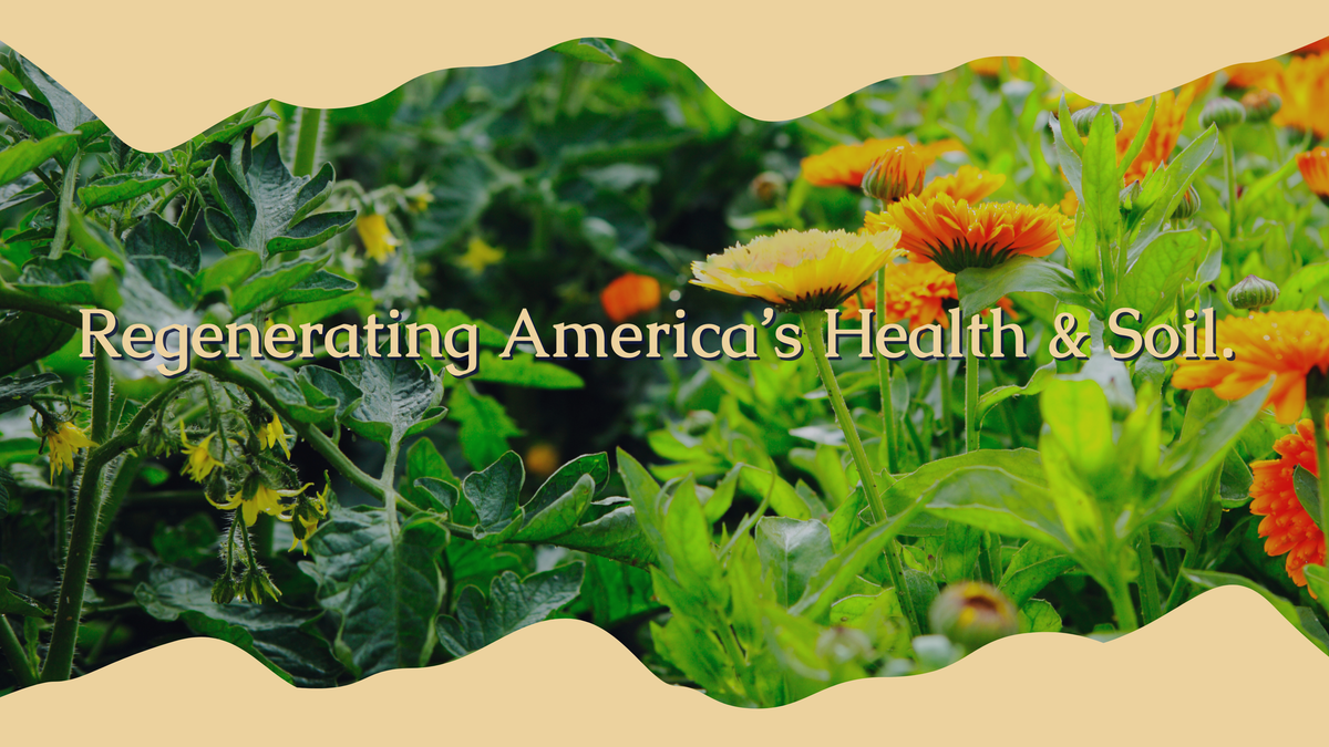My Health Forward