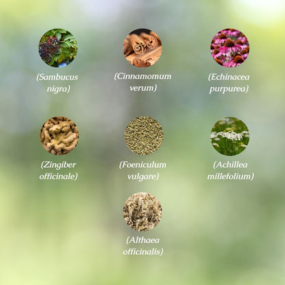 Immune Health Organic Herbal Tea