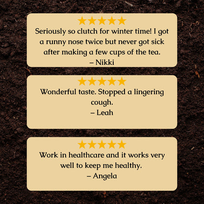 Immune Health Organic Herbal Tea