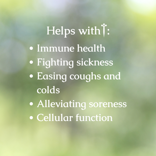 Immune Health Organic Herbal Tea