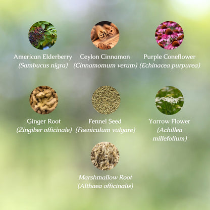 Immune Health Organic Herbal Tea