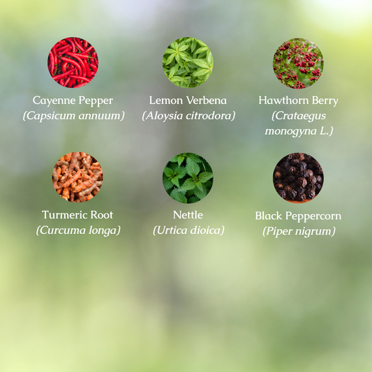 Organic Joint Health Tincture