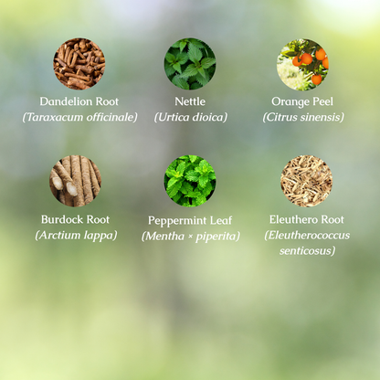 Kidney & Liver Support Organic Herbal Tea